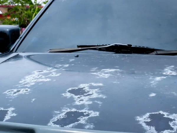 dent repair service near me 059